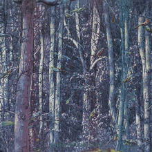 Behind Red and Green-大美無言藝術空間